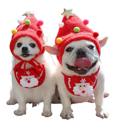 Holiday Pet Cap