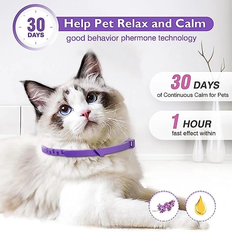 Calming Collars