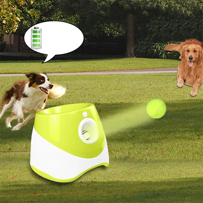 Doggy Tennis Ball Launcher