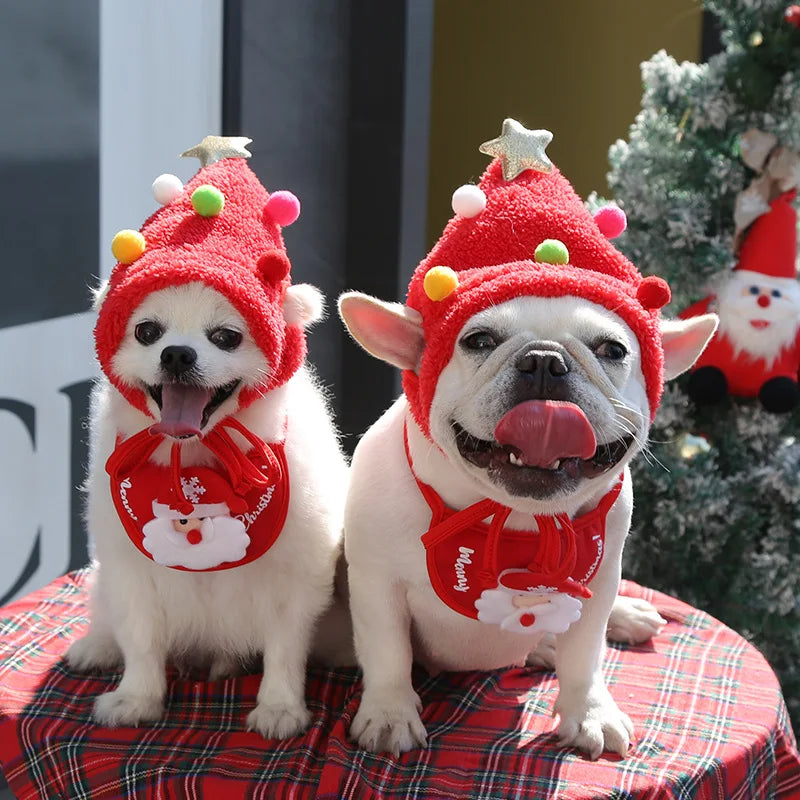 Holiday Pet Cap